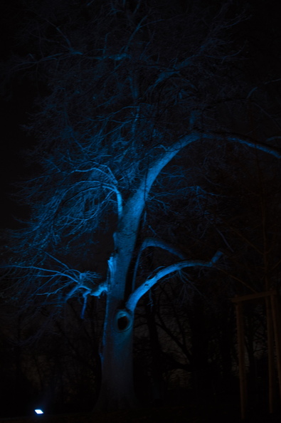 DSC_2823.jpeg