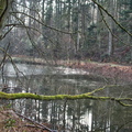 DSC 2965