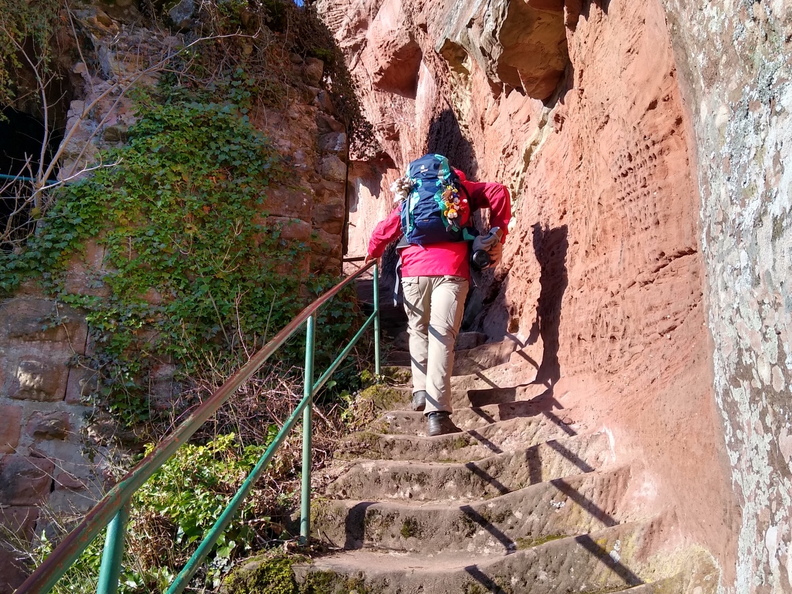 IMG 20200121 120649010 HDR