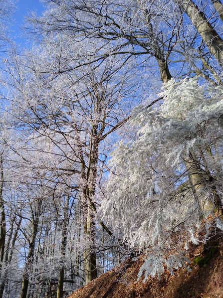 IMG_20200122_115109379_HDR.jpeg
