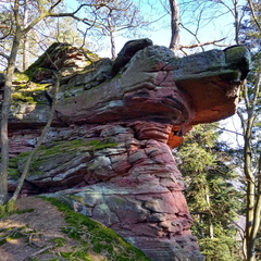 IMG 20200122 130614568 HDR