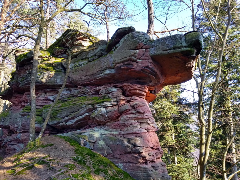 IMG 20200122 130614568 HDR