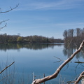 DSC 3207