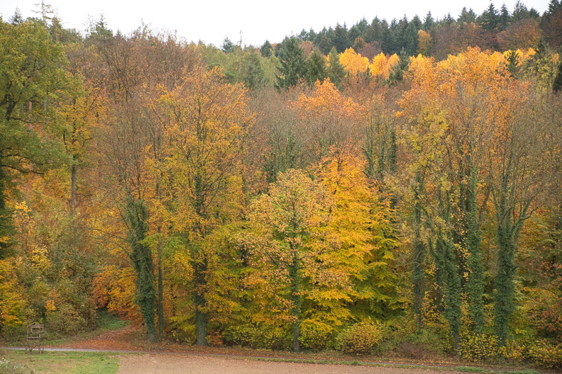 DSC_4388.jpeg