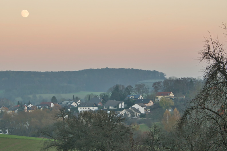 DSC_4619.jpeg