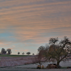 DSC 4505