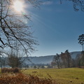 DSC 4540