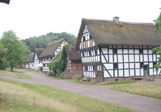 DSC 4132