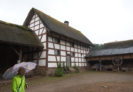DSC 4134