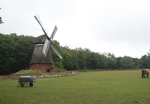 DSC 4138