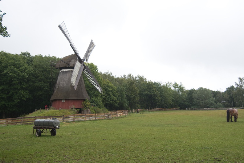 DSC_4138.jpeg