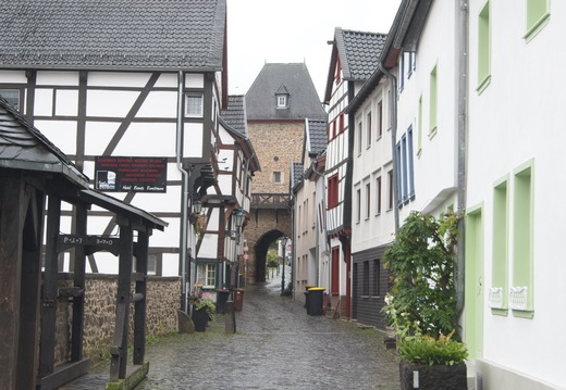 DSC 4151