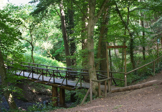 DSC 4215