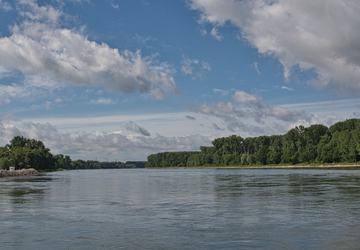 DSC 3633
