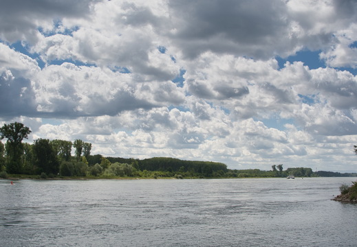 DSC 3645