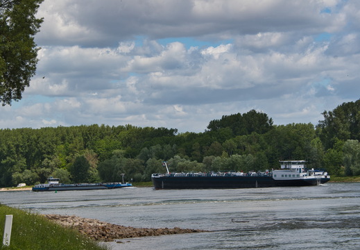 DSC 3649
