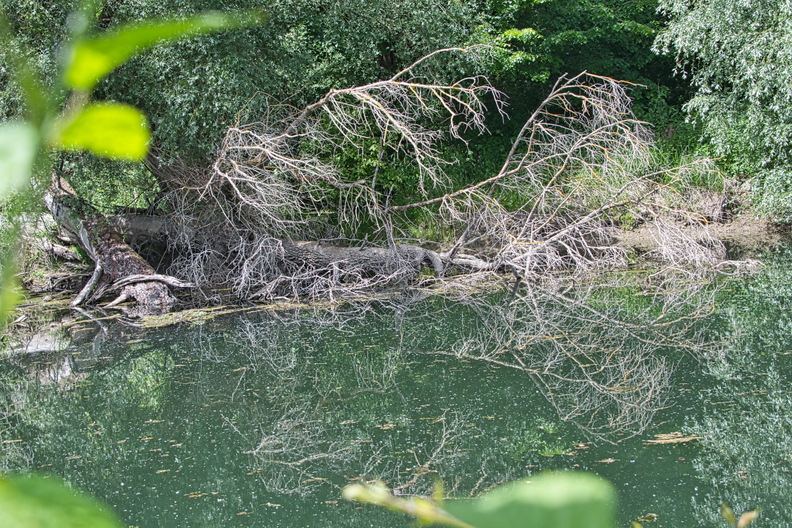 DSC_3795.jpeg