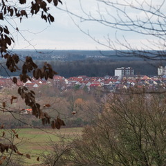 DSC 4692