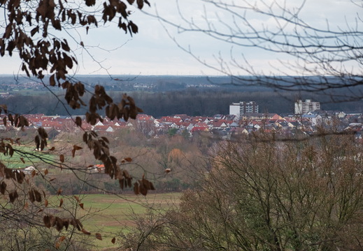 DSC 4692