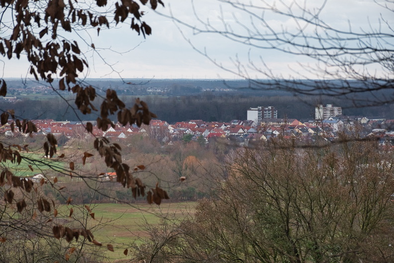 DSC_4692.jpeg