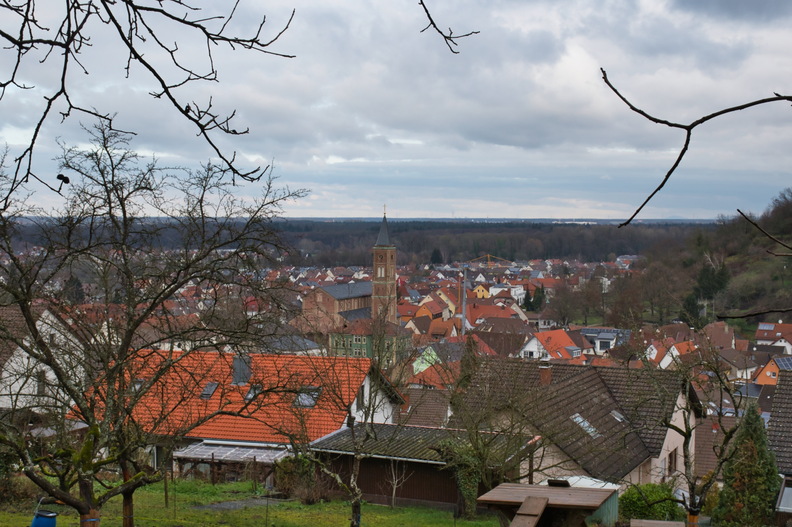 DSC_4703.jpeg