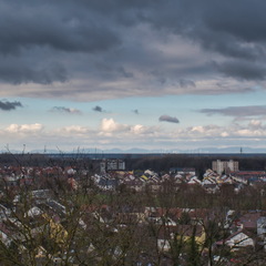 DSC 4706