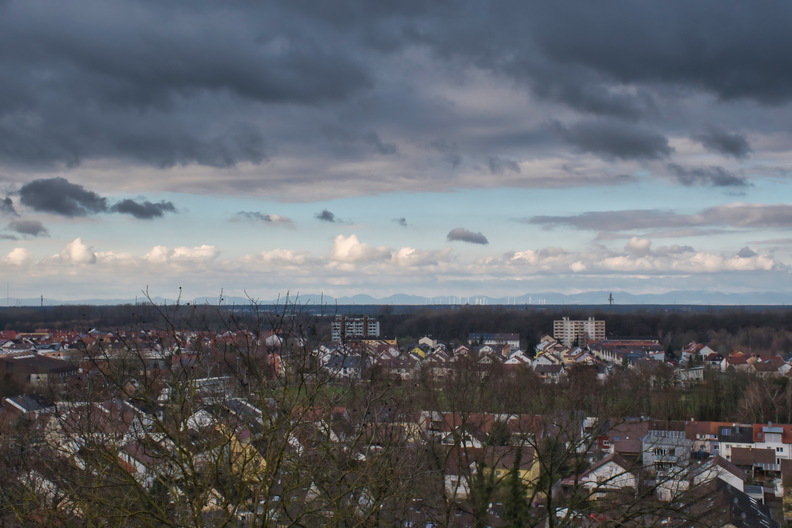DSC_4706.jpeg