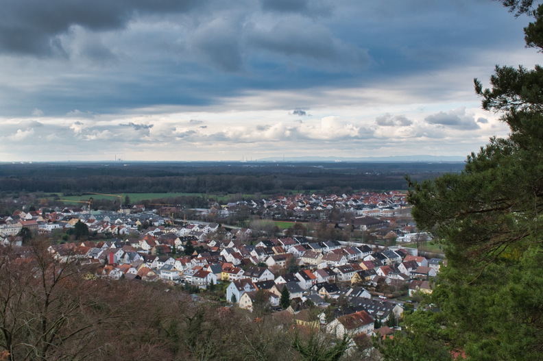 DSC_4708.jpeg