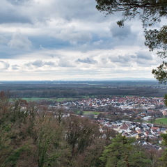 DSC 4713