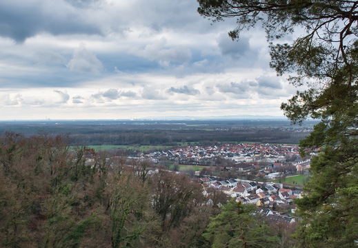 DSC 4713