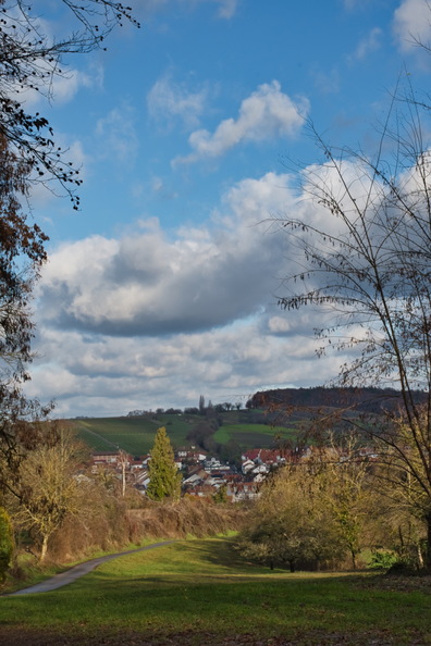 DSC_4731.jpeg