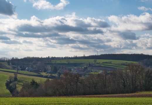 DSC 4733