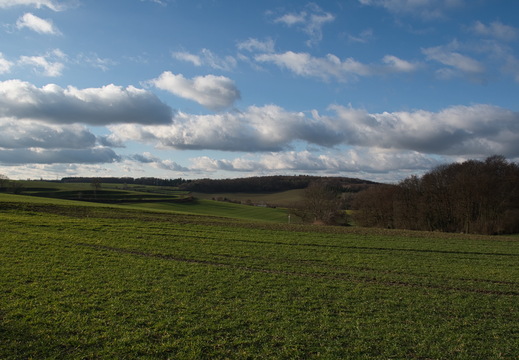DSC 4737