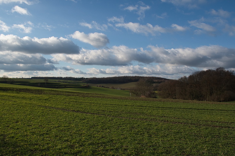 DSC_4737.jpeg