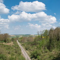 DSC 3451