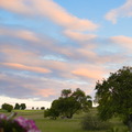 DSC 3595