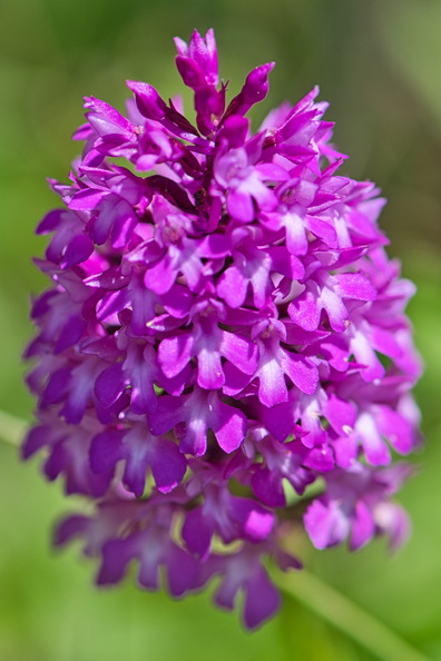 DSC_3982.jpeg