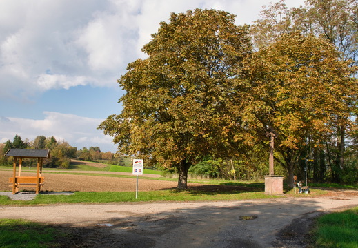 DSC 4368