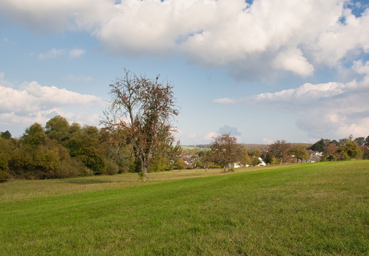 DSC 4369