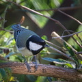 DSC 3401