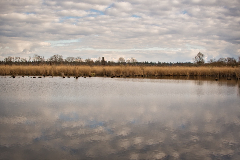 DSC_3155.jpeg