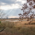 DSC 3181