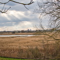 DSC 3184