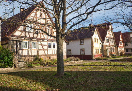 P1010008