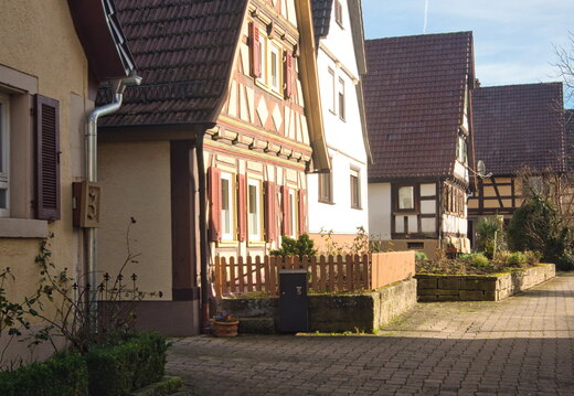P1010009