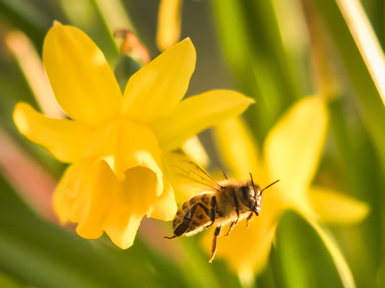 20220303190036-66817787