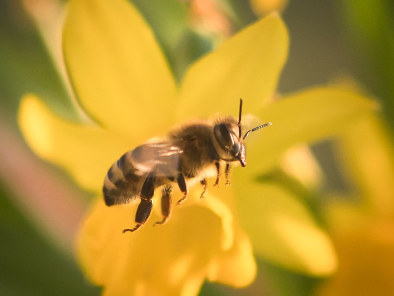 20220303190038-893cafb2