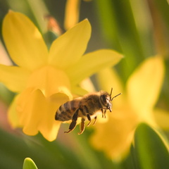 20220303190038-bc9ed0bf