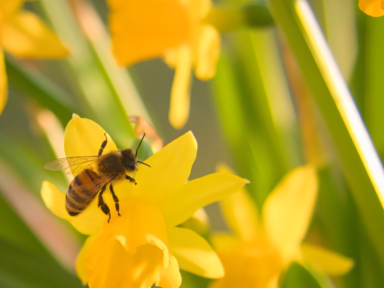 20220303190039-3142b92e