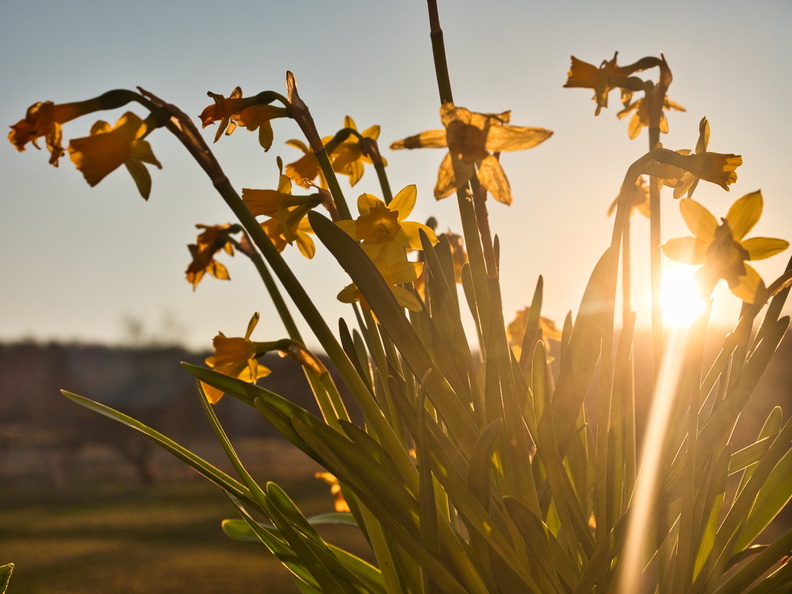 20220303190111-d71df4c2